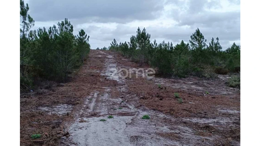 Terreno para Venda em Melides Foto 5