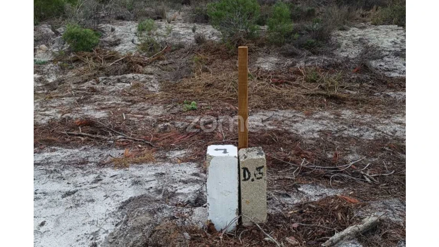Terreno para Venda em Melides Foto 4