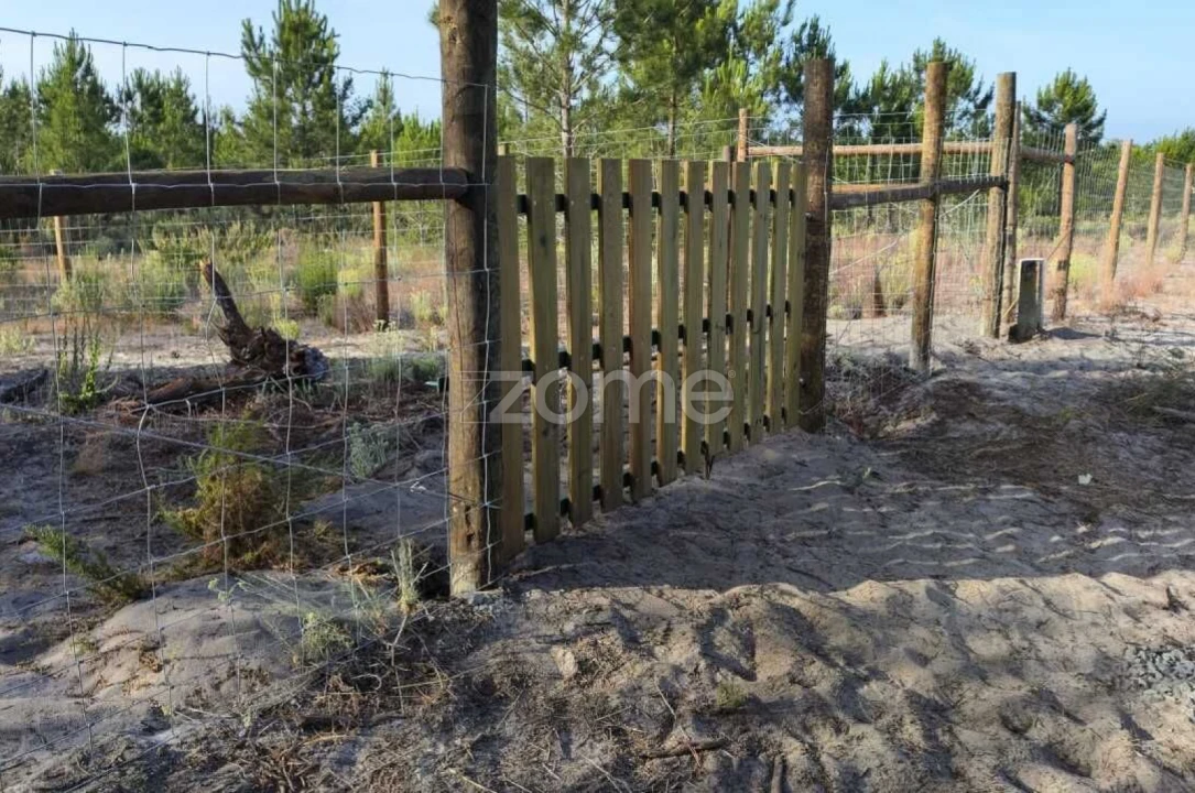 Terreno para Venda em Melides Foto 6
