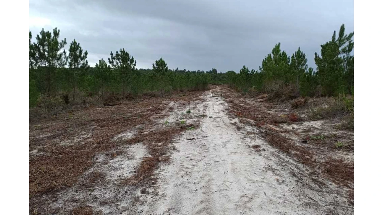 Terreno para Venda em Melides Foto 2