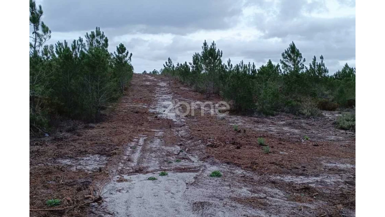 Terreno para Venda em Melides Foto 5