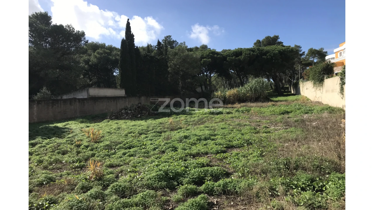 Terreno para Venda em Cascais e Estoril Foto 22