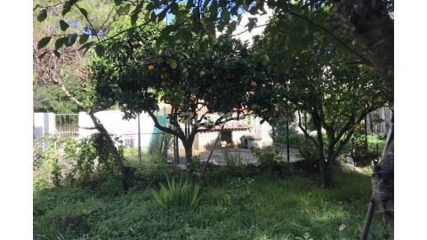 Terreno para Venda em Cascais e Estoril