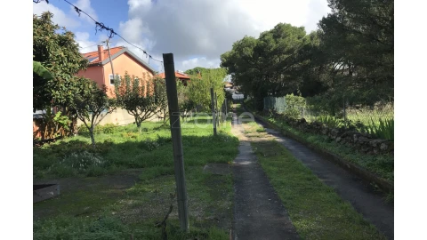 Terreno para Venda em Cascais e Estoril