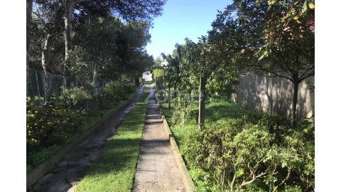 Terreno para Venda em Cascais e Estoril