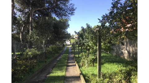 Terreno para Venda em Cascais e Estoril