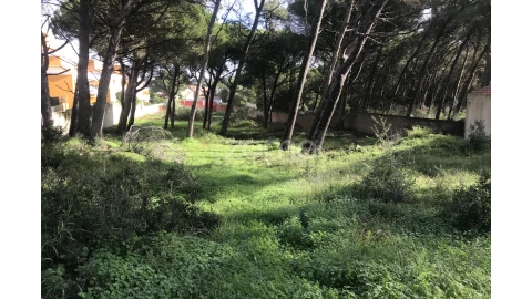 Terreno para Venda em Cascais e Estoril