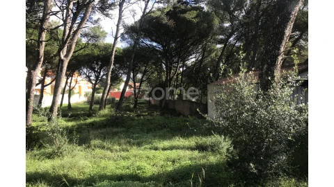 Terreno para Venda em Cascais e Estoril