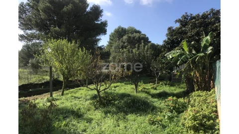 Terreno para Venda em Cascais e Estoril