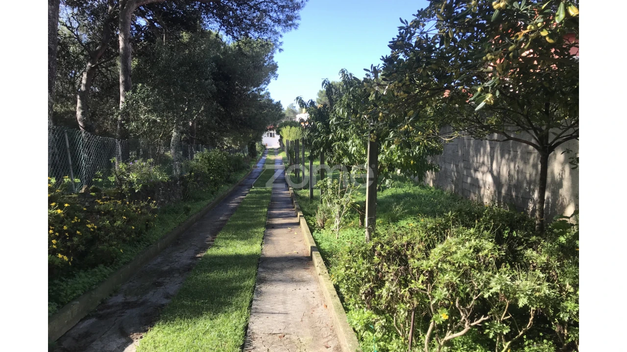 Terreno para Venda em Cascais e Estoril Foto 3