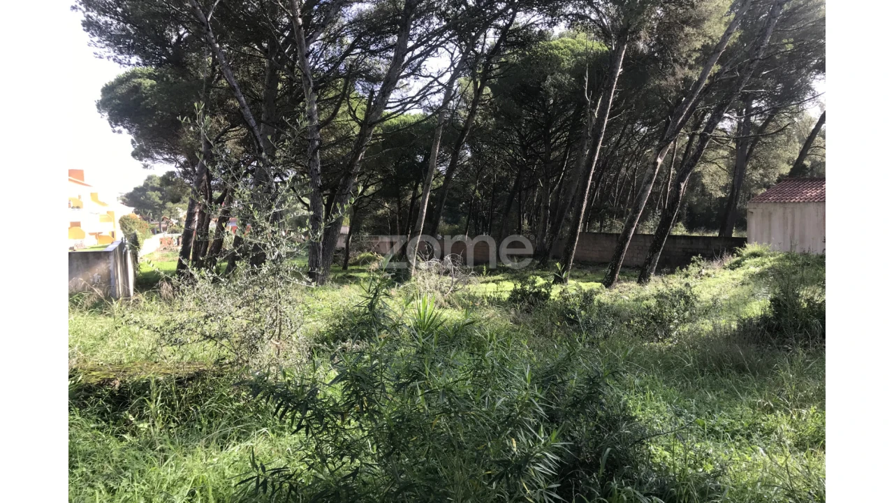Terreno para Venda em Cascais e Estoril Foto 9