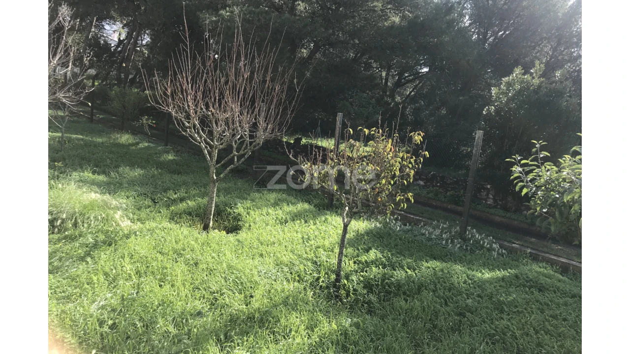 Terreno para Venda em Cascais e Estoril Foto 16