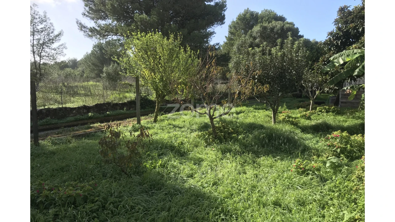 Terreno para Venda em Cascais e Estoril Foto 18
