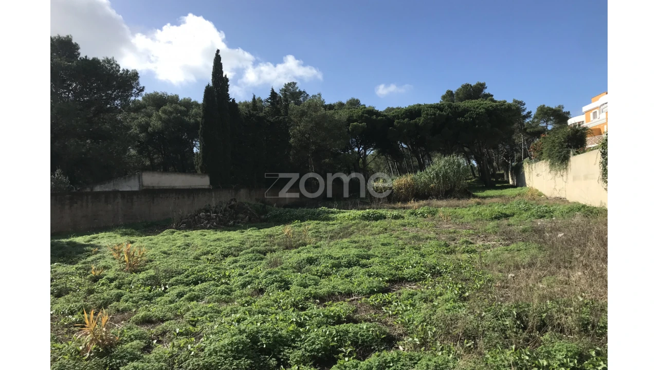 Terreno para Venda em Cascais e Estoril Foto 20