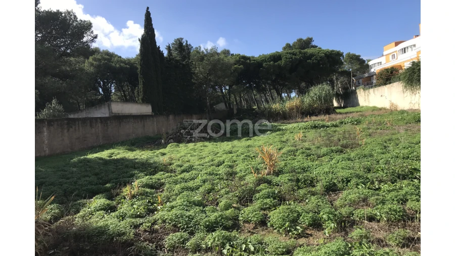 Terreno para Venda em Cascais e Estoril Foto 21