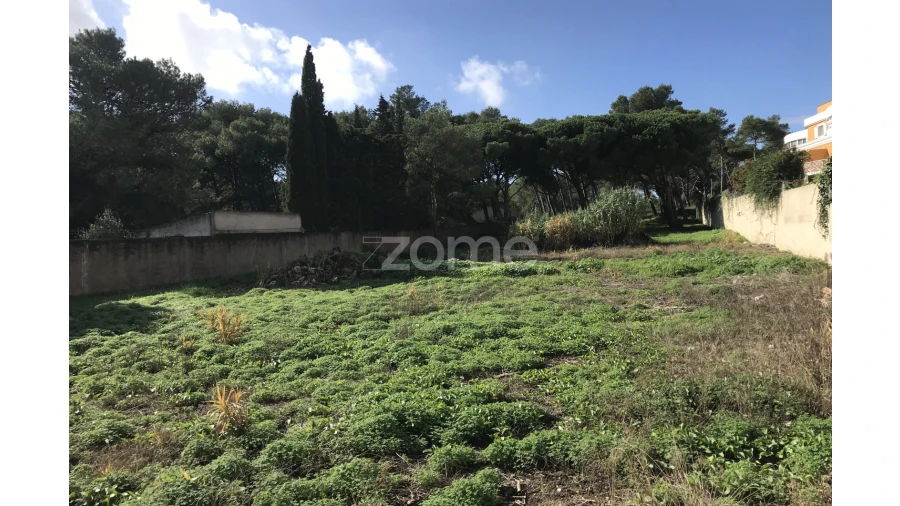 Terreno para Venda em Cascais e Estoril Foto 22