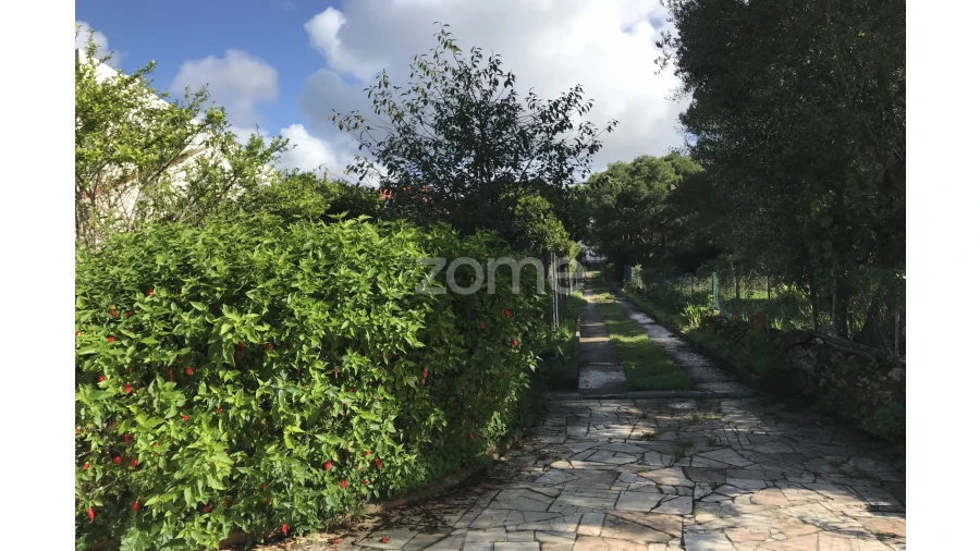 Terreno para Venda em Cascais e Estoril Foto 24