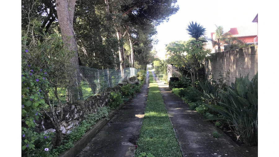 Terreno para Venda em Cascais e Estoril Foto 5