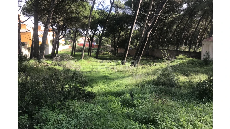 Terreno para Venda em Cascais e Estoril Foto 6