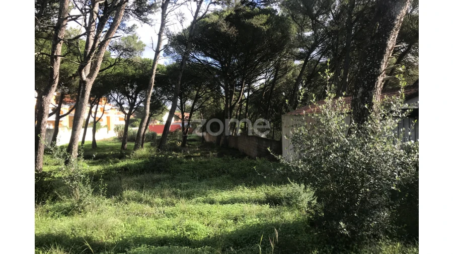 Terreno para Venda em Cascais e Estoril Foto 7