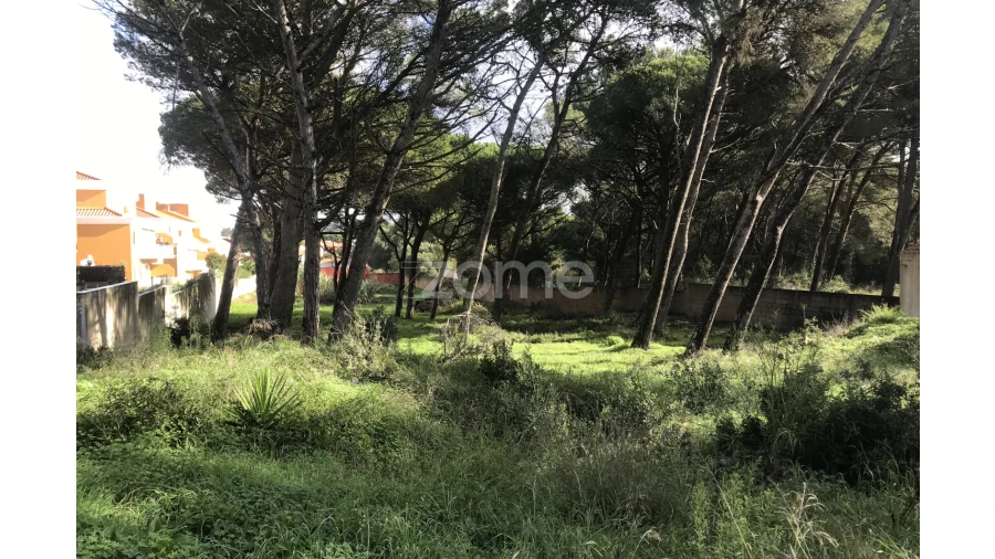 Terreno para Venda em Cascais e Estoril Foto 8