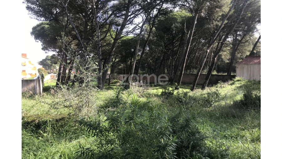 Terreno para Venda em Cascais e Estoril Foto 9