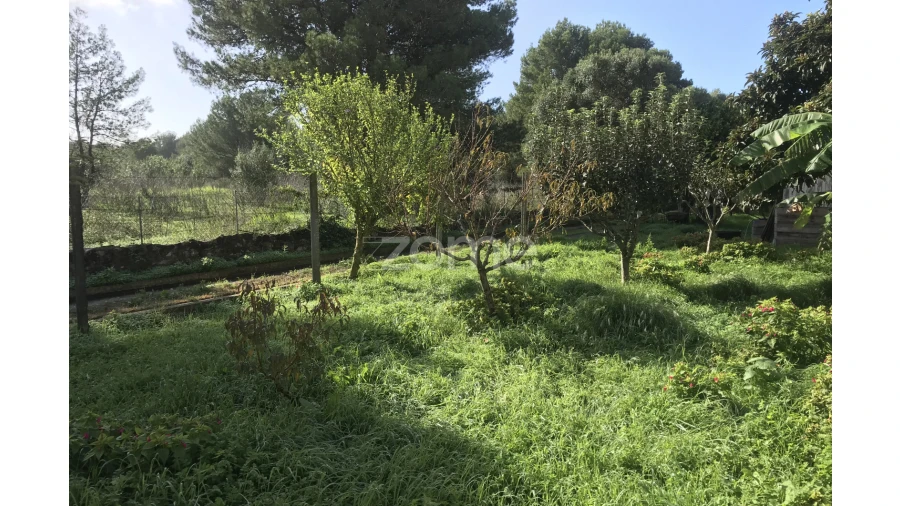 Terreno para Venda em Cascais e Estoril Foto 18