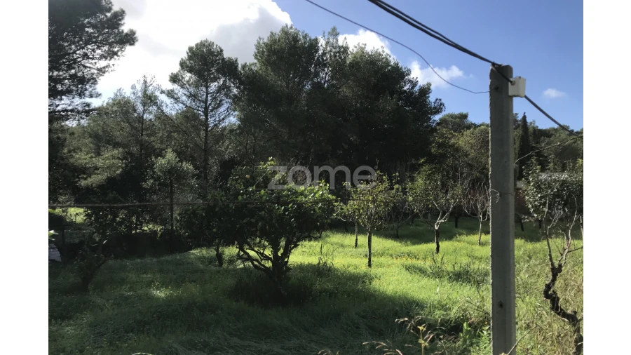 Terreno para Venda em Cascais e Estoril Foto 19