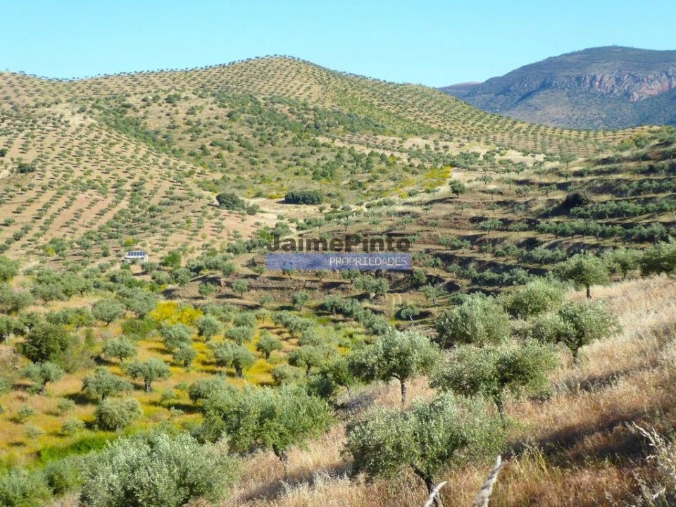 Terreno Agricola ou Rústico para Venda em Escalhão Foto 5