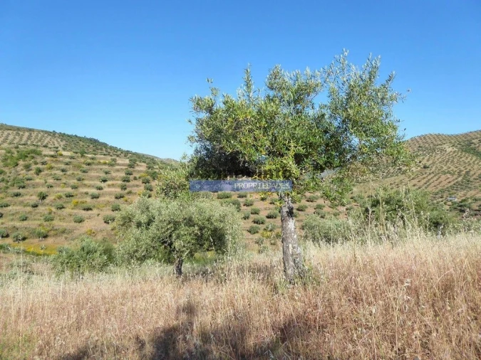 Terreno Agricola ou Rústico para Venda em Escalhão Foto 7