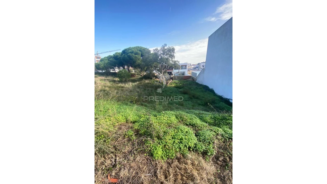 Terreno para Venda em Gambia-Pontes-Alto da Guerra Foto 15