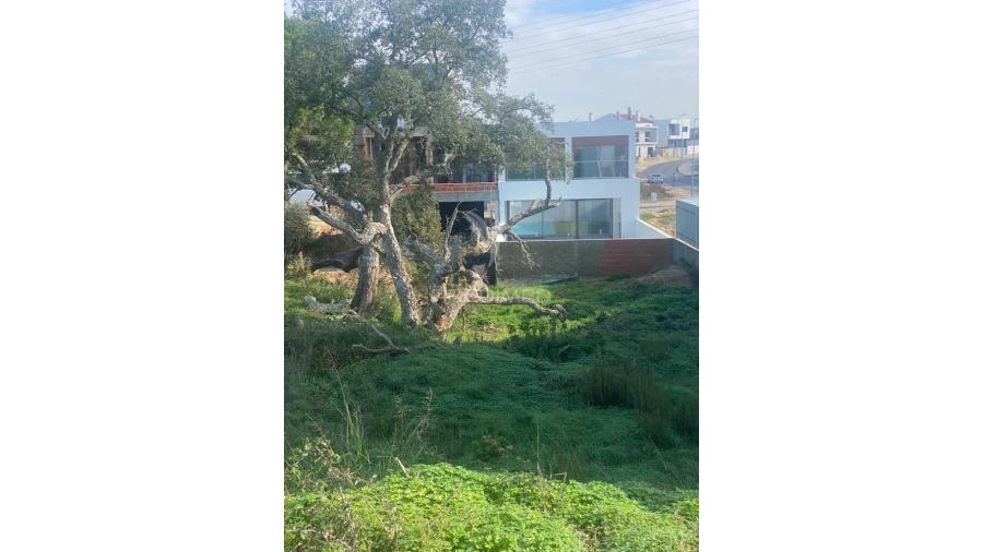 Terreno para Venda em Gambia-Pontes-Alto da Guerra Foto 13