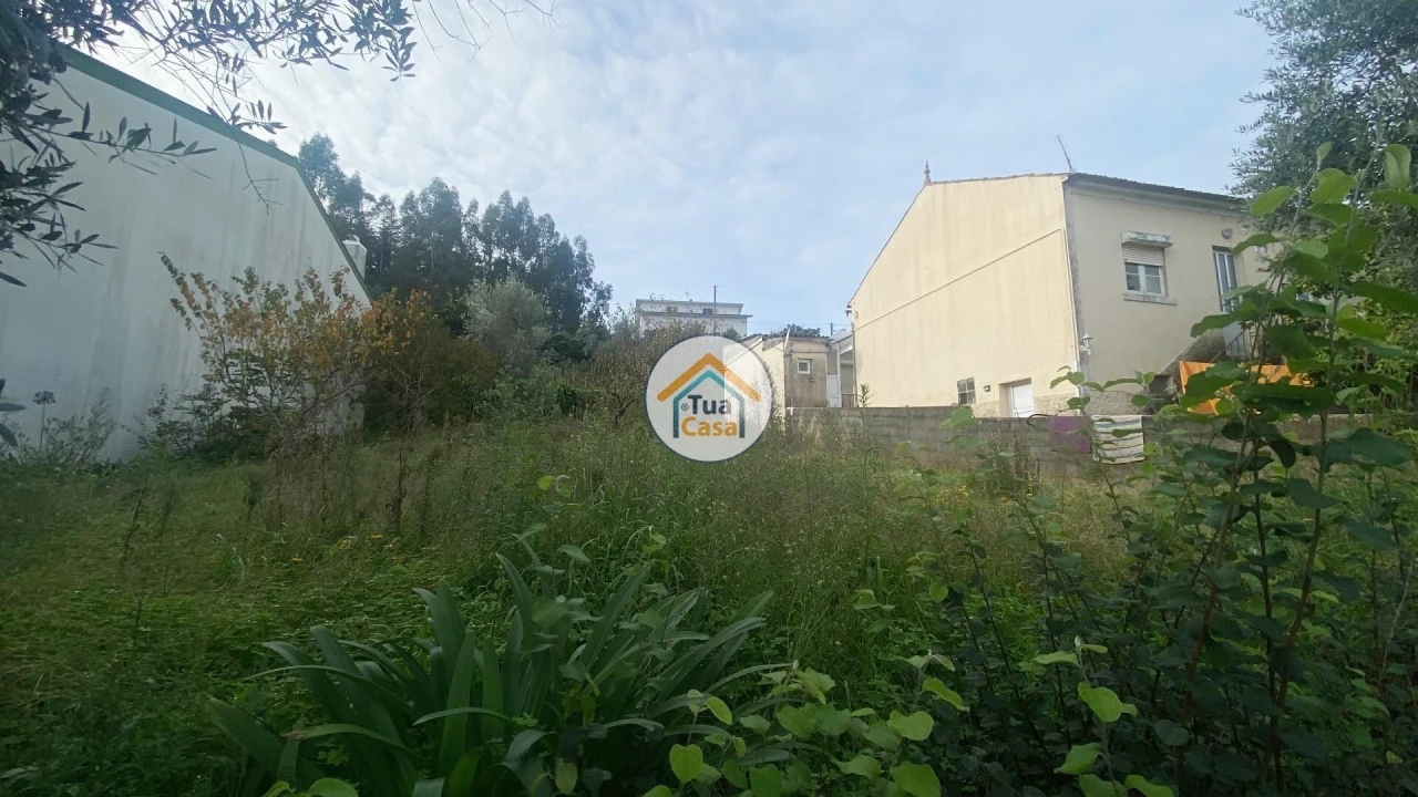 Terreno para Venda em Sé Nova, Santa Cruz, Almedina e São Bartolomeu Foto 13