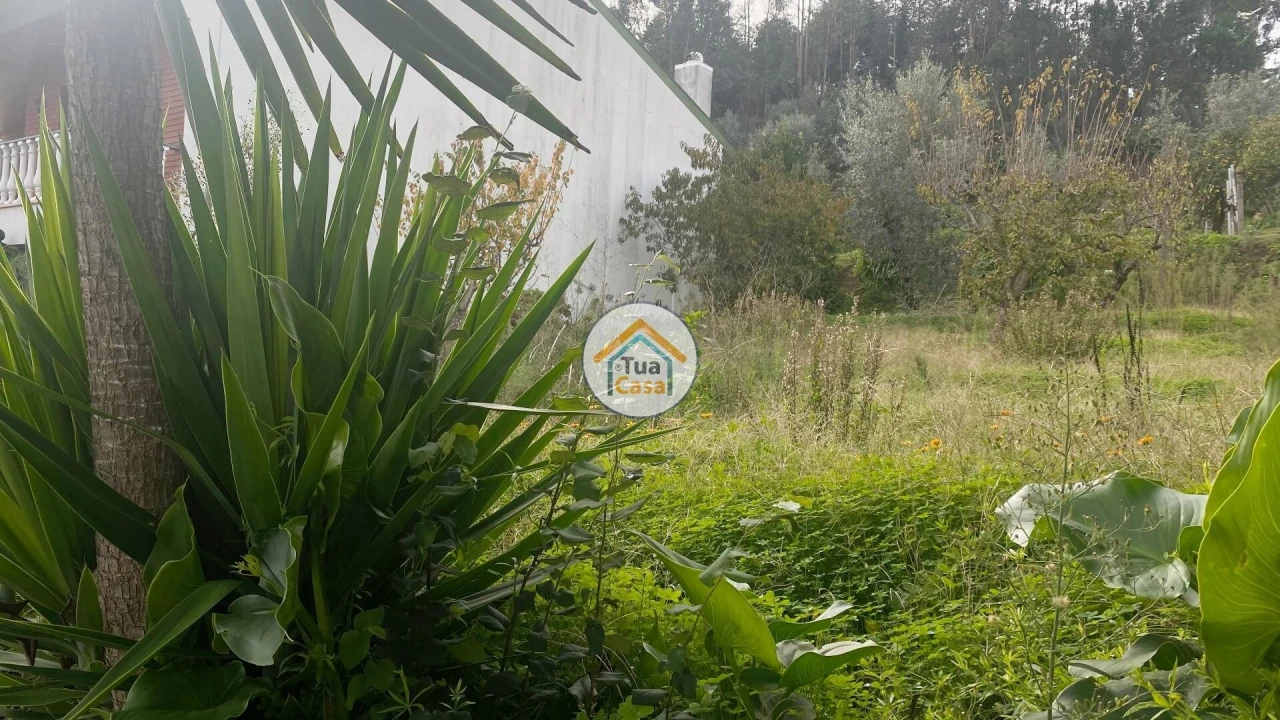 Terreno para Venda em Sé Nova, Santa Cruz, Almedina e São Bartolomeu Foto 8