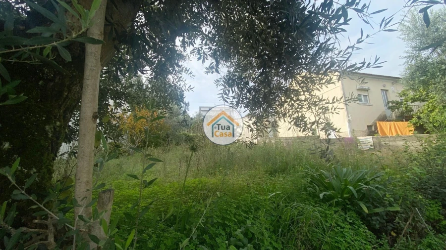 Terreno para Venda em Sé Nova, Santa Cruz, Almedina e São Bartolomeu Foto 2