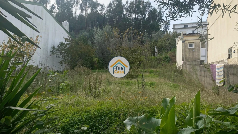 Terreno para Venda em Sé Nova, Santa Cruz, Almedina e São Bartolomeu Foto 11