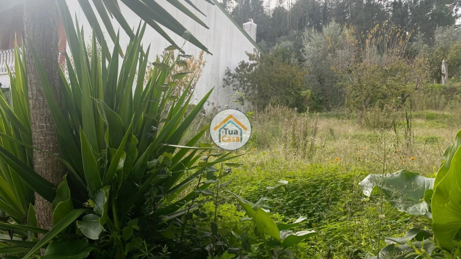 Terreno para Venda em Sé Nova, Santa Cruz, Almedina e São Bartolomeu Foto 8