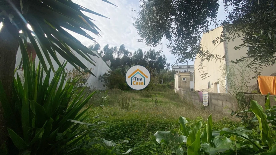 Terreno para Venda em Sé Nova, Santa Cruz, Almedina e São Bartolomeu Foto 3