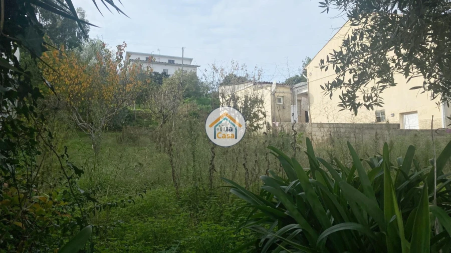 Terreno para Venda em Sé Nova, Santa Cruz, Almedina e São Bartolomeu Foto 5