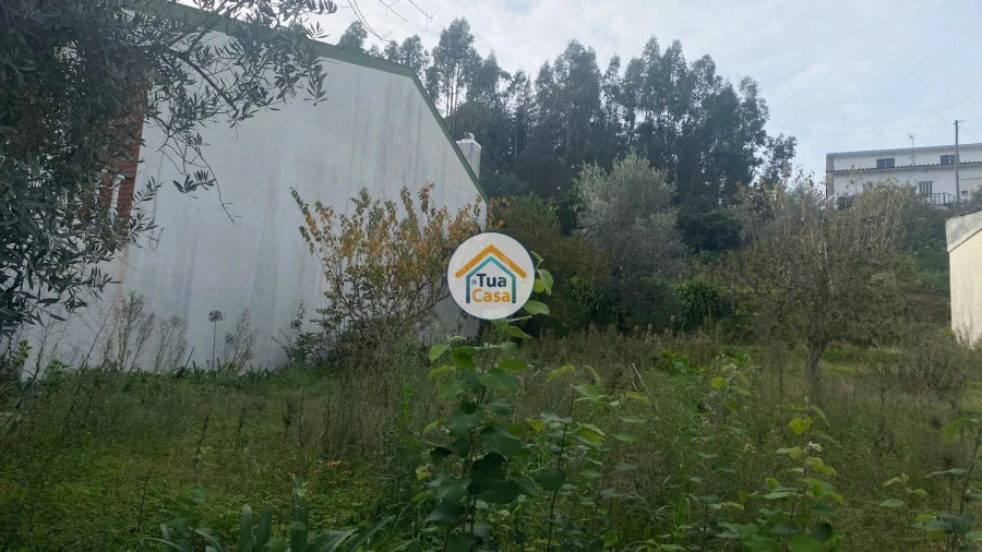 Terreno para Venda em Sé Nova, Santa Cruz, Almedina e São Bartolomeu Foto 6