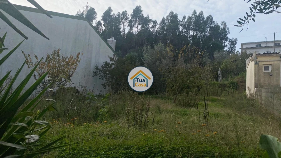 Terreno para Venda em Sé Nova, Santa Cruz, Almedina e São Bartolomeu Foto 12