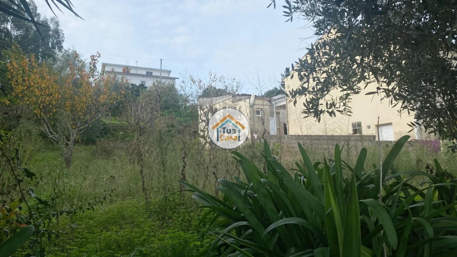 Terreno para Venda em Sé Nova, Santa Cruz, Almedina e São Bartolomeu Foto 10