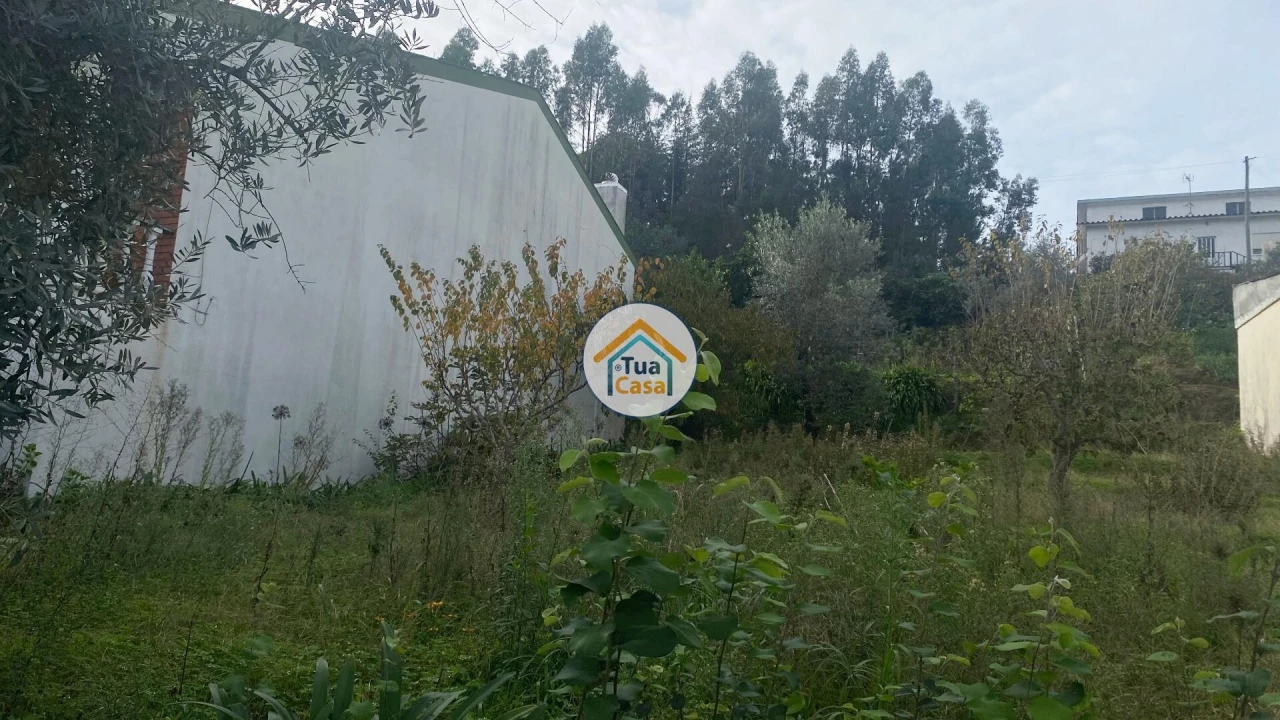 Terreno para Venda em Sé Nova, Santa Cruz, Almedina e São Bartolomeu Foto 6