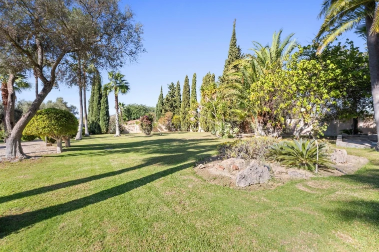 Moradia T6 para Venda em Almancil Foto 43