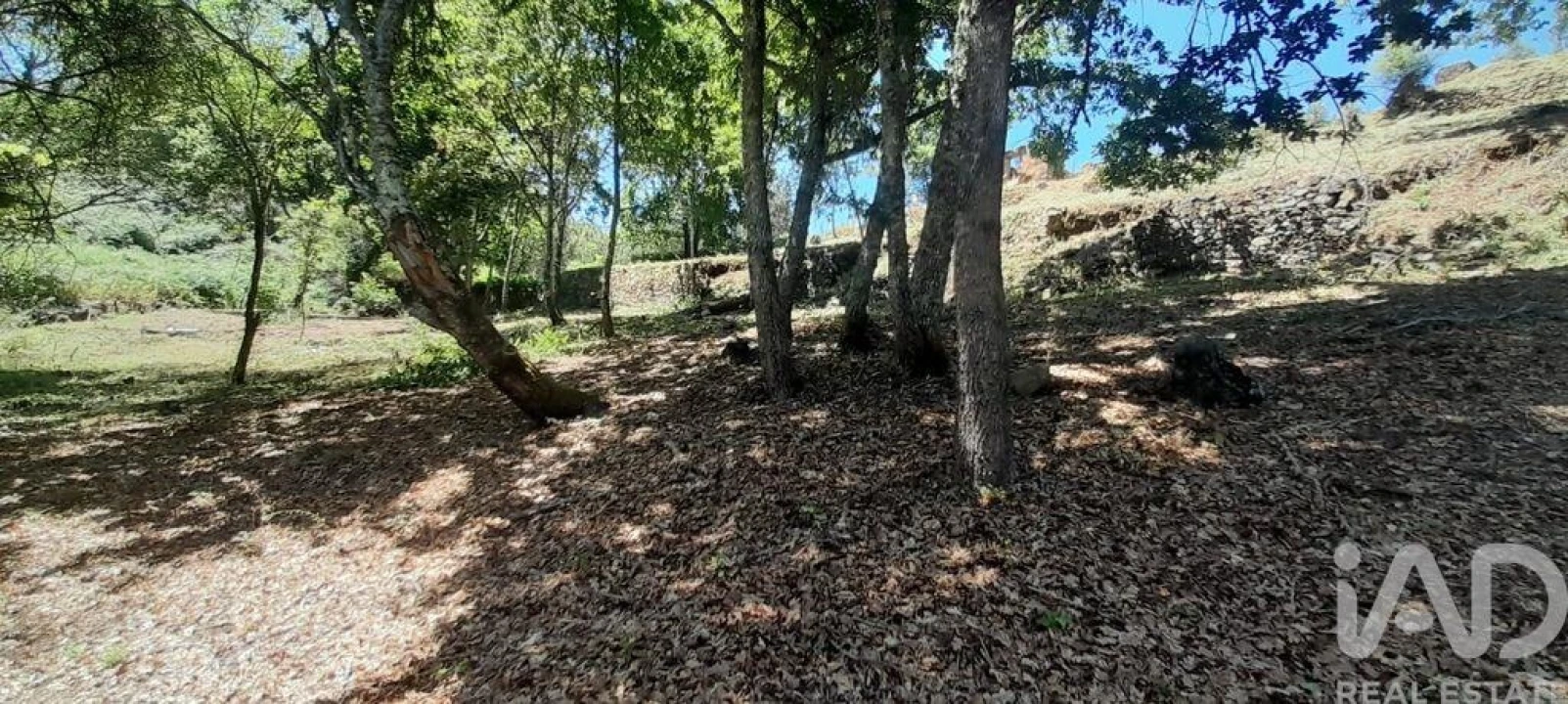 Terreno para Venda em Pedrogão Grande Foto 8
