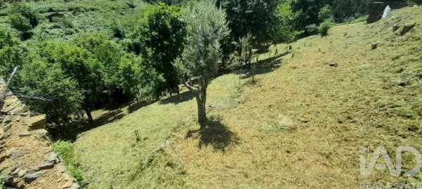 Terreno para Venda em Pedrogão Grande