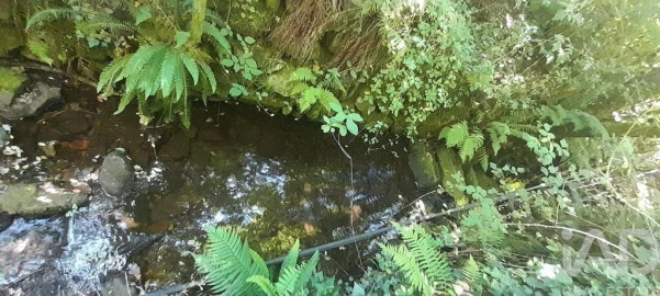 Terreno para Venda em Pedrogão Grande