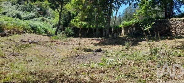 Terreno para Venda em Pedrogão Grande