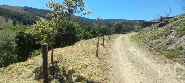 Terreno para Venda em Pedrogão Grande