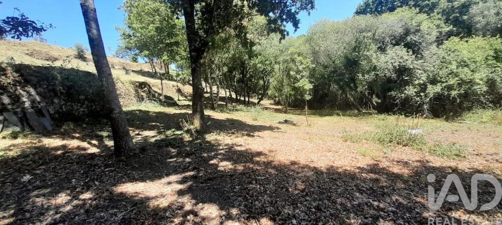 Terreno para Venda em Pedrogão Grande Foto 7